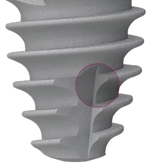 CONICAL NARROW APEX