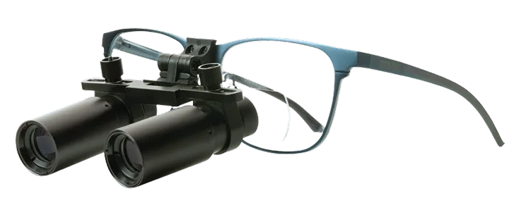 ErgoVision Loupes